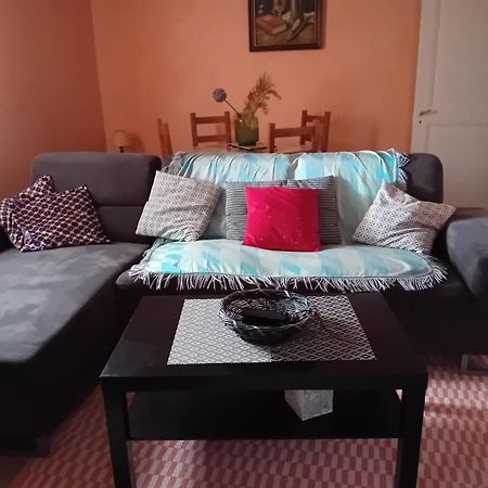 Appartement Spacieux Dans Joli Village Alsacien Châtenois Eksteriør billede