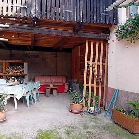 Appartement Spacieux Dans Joli Village Alsacien Châtenois Eksteriør billede