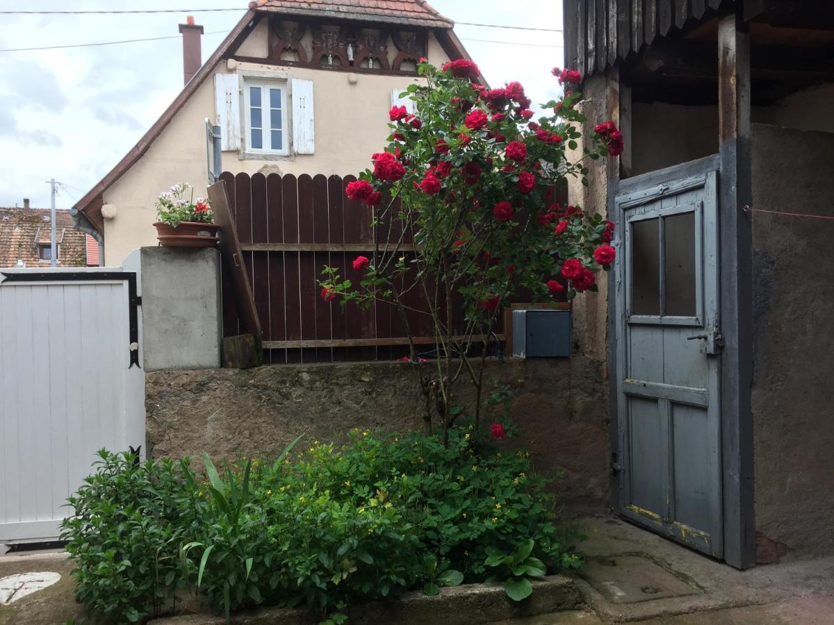 Appartement Spacieux Dans Joli Village Alsacien Châtenois Eksteriør billede