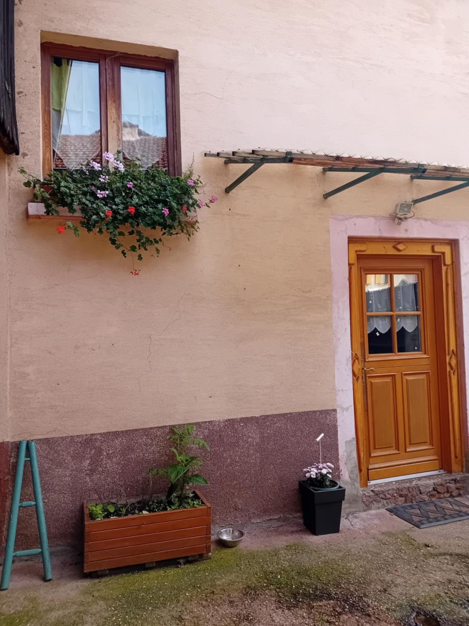 Appartement Spacieux Dans Joli Village Alsacien Châtenois Eksteriør billede