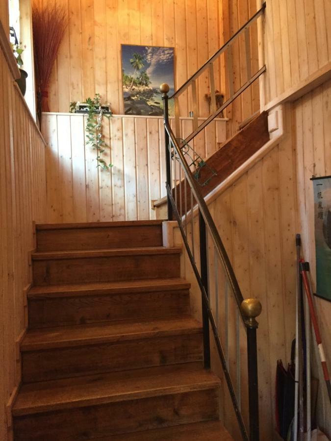 Appartement Spacieux Dans Joli Village Alsacien Châtenois Eksteriør billede