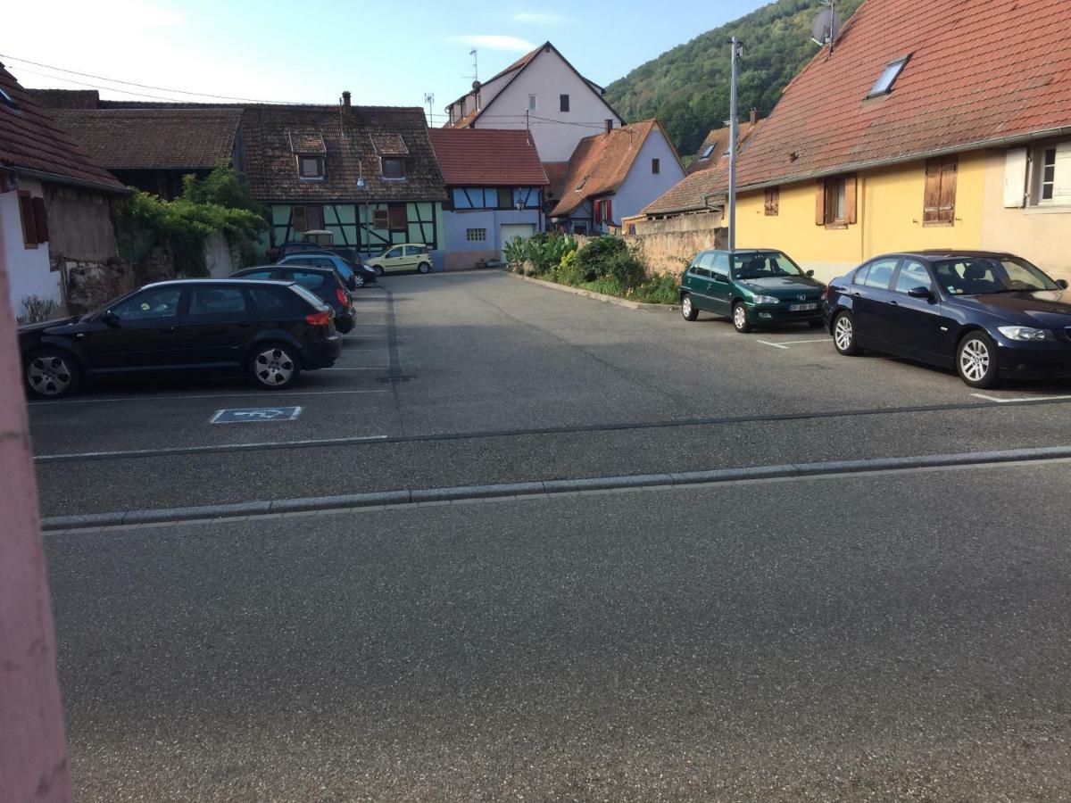Appartement Spacieux Dans Joli Village Alsacien Châtenois Eksteriør billede
